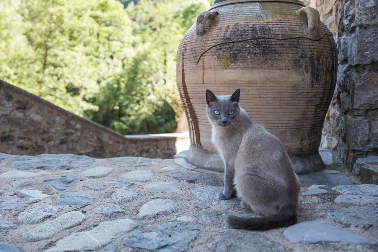 Can Criach Beget Exterior foto